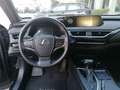 Lexus UX 250h Hybrid 4WD Business  IVA ESPOSTA Black - thumbnail 13