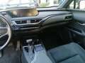 Lexus UX 250h Hybrid 4WD Business  IVA ESPOSTA Black - thumbnail 14
