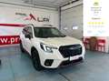 Subaru Forester Forester V  2.0i e-boxer 4dventure lineartronic Weiß - thumbnail 1