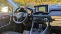 Toyota RAV 4 Hybrid Business RAV4 2.5h 218cv(178cv)BRAKE ASSIST Bianco - thumbnail 9
