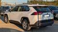 Toyota RAV 4 Hybrid Business RAV4 2.5h 218cv(178cv)BRAKE ASSIST Bianco - thumbnail 4