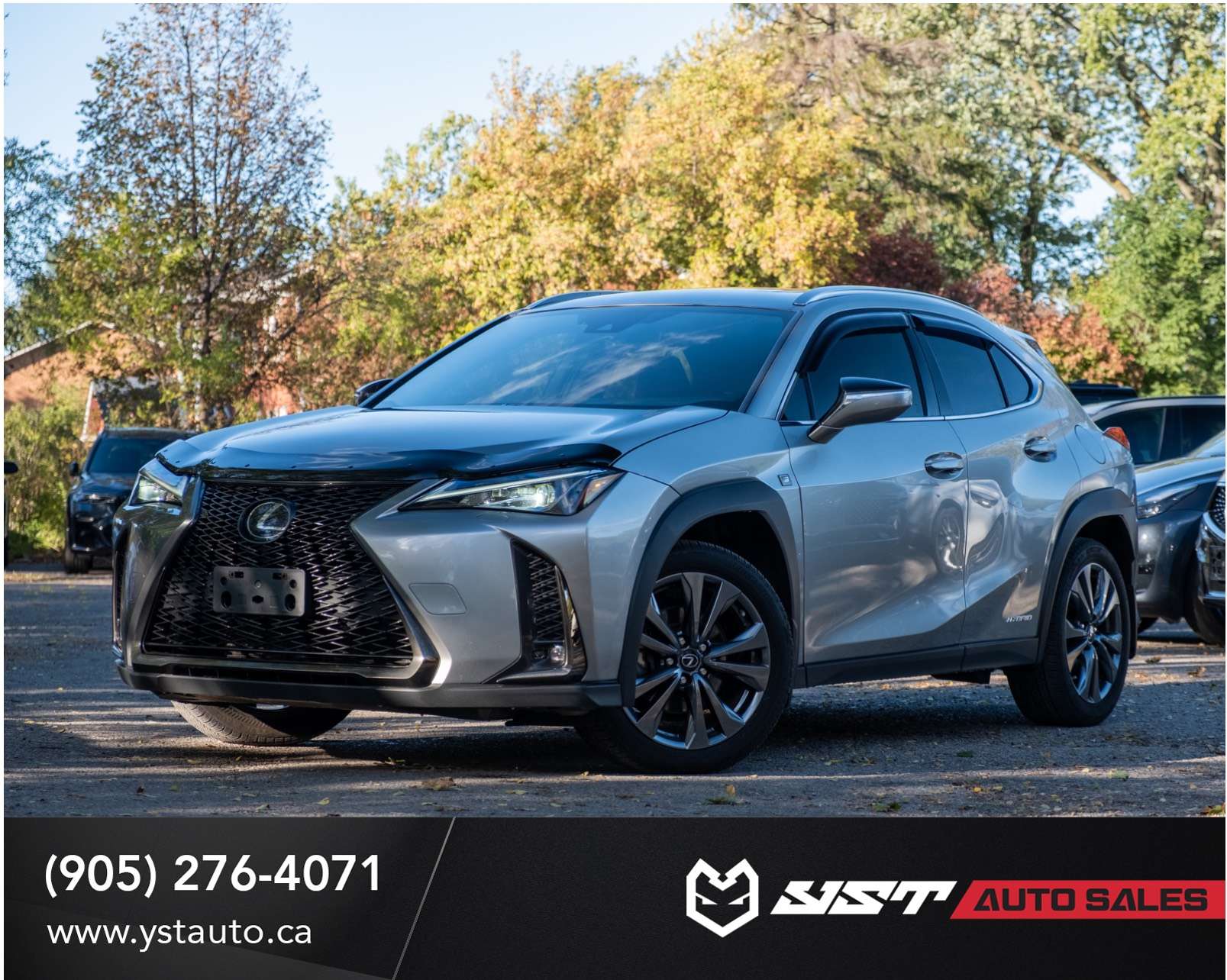Silver 2020 Lexus UX Hybrid SUV / Crossover  Automatic