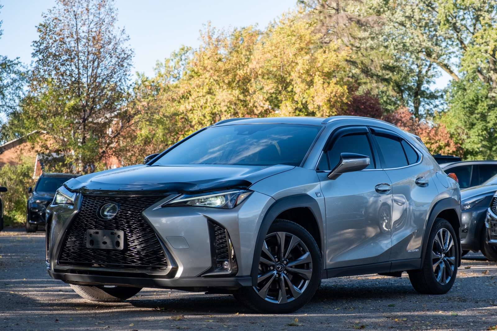 2020 Lexus UX