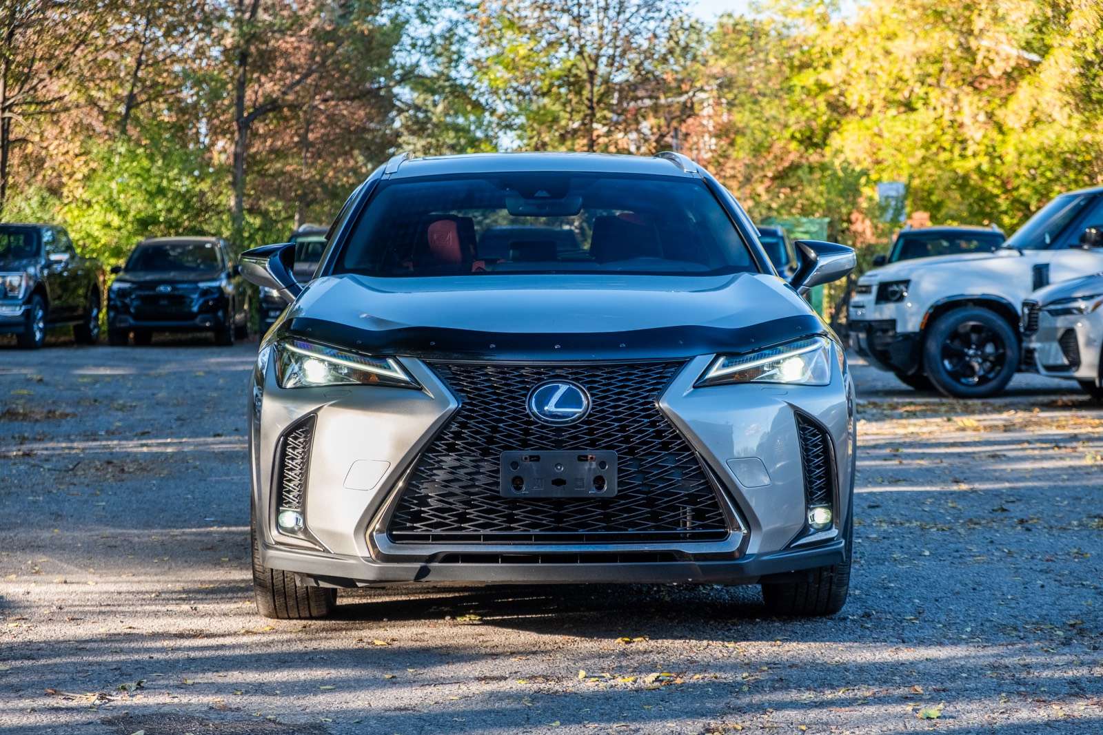 2020 Lexus UX