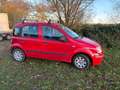 Fiat Panda 1.2 8V Dynamic crvena - thumbnail 4