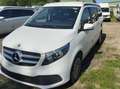 Mercedes-Benz Marco Polo Mercedes Marco Polo 250d | 2022 | EURO 6 Blanco - thumbnail 7