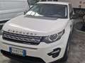 Land Rover Discovery Sport Discovery Sport 2.0 td4 SE awd 150cv auto Bianco - thumbnail 1