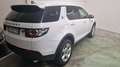 Land Rover Discovery Sport Discovery Sport 2.0 td4 SE awd 150cv auto Bianco - thumbnail 3
