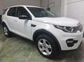 Land Rover Discovery Sport Discovery Sport 2.0 td4 SE awd 150cv auto Blanco - thumbnail 2