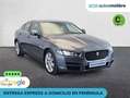 Jaguar XE 2.0+Diesel+Pure+RWD+Auto+132+kW+%28180+CV%29 Gris - thumbnail 2