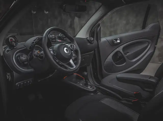 Smart Fortwo view 11