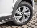 Volkswagen Taigo 1.0 TSI DSG Life KLIMA PDC SHZ ACC LED Weiß - thumbnail 5