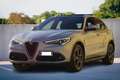 Alfa Romeo Stelvio 2.2 Turbodiesel 210 CV AT8 Q4 Ti Argento - thumbnail 2