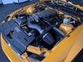 Ford Mustang GT Premium 4.6 V8 305 ch – Finition Premium Gold - thumbnail 21