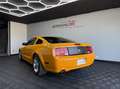 Ford Mustang GT Premium 4.6 V8 305 ch – Finition Premium Gold - thumbnail 5