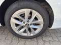 Skoda Octavia Combi 1.5 TSI mHEV DSG Selection*AHK/ACC Weiß - thumbnail 18