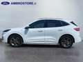 Ford Kuga III 2020 - Kuga 1.5 ecoblue ST-Line 2wd 120cv Bianco - thumbnail 8