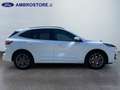 Ford Kuga III 2020 - Kuga 1.5 ecoblue ST-Line 2wd 120cv Bianco - thumbnail 4