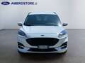Ford Kuga III 2020 - Kuga 1.5 ecoblue ST-Line 2wd 120cv Bianco - thumbnail 2