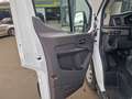 Ford Transit FT 350 (TTS) 2.0 TDCi DPF 350 L3 Trend FWD 2.0 TDC Weiß - thumbnail 13