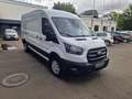 Ford Transit FT 350 (TTS) 2.0 TDCi DPF 350 L3 Trend FWD 2.0 TDC Weiß - thumbnail 2
