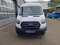 Ford Transit FT 350 (TTS) 2.0 TDCi DPF 350 L3 Trend FWD 2.0 TDC Weiß - thumbnail 6