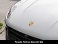 Porsche Macan T Sport Chrono Panoramadach Surround-View Weiß - thumbnail 24