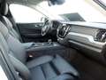 Volvo XC60 T6 AWD Plus Dark HGSD FACEL. STANDHZ LED Weiß - thumbnail 5