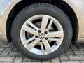 Volkswagen Golf Plus 1.4 TSI Highline| Clima, Navi, Trekhaak, Cruise Brun - thumbnail 7