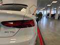 Audi A5 Black Line 40 TDI S tronic Sportback Weiß - thumbnail 16
