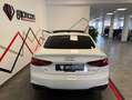 Audi A5 Black Line 40 TDI S tronic Sportback Weiß - thumbnail 14