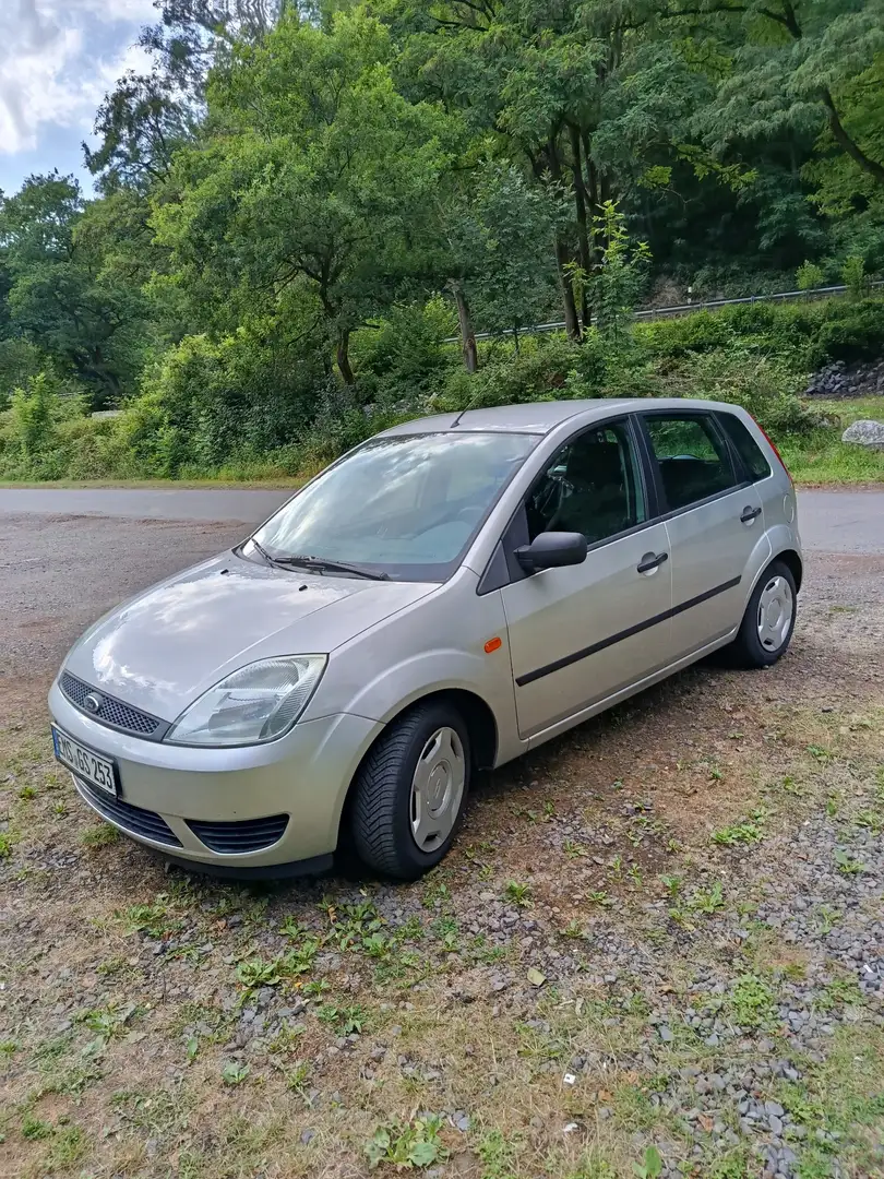 Ford Fiesta Viva X - 2