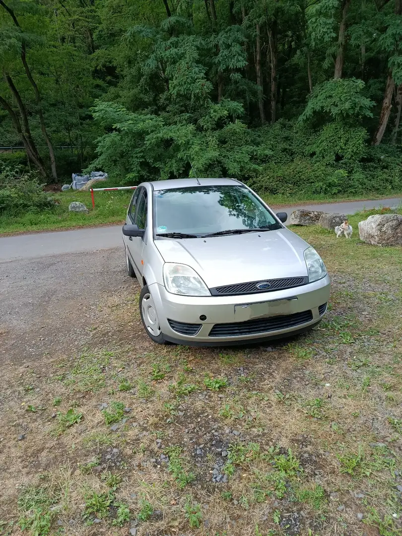 Ford Fiesta Viva X - 1