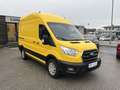 Ford Transit 350 L2H3 Trend AWD Gelb - thumbnail 1