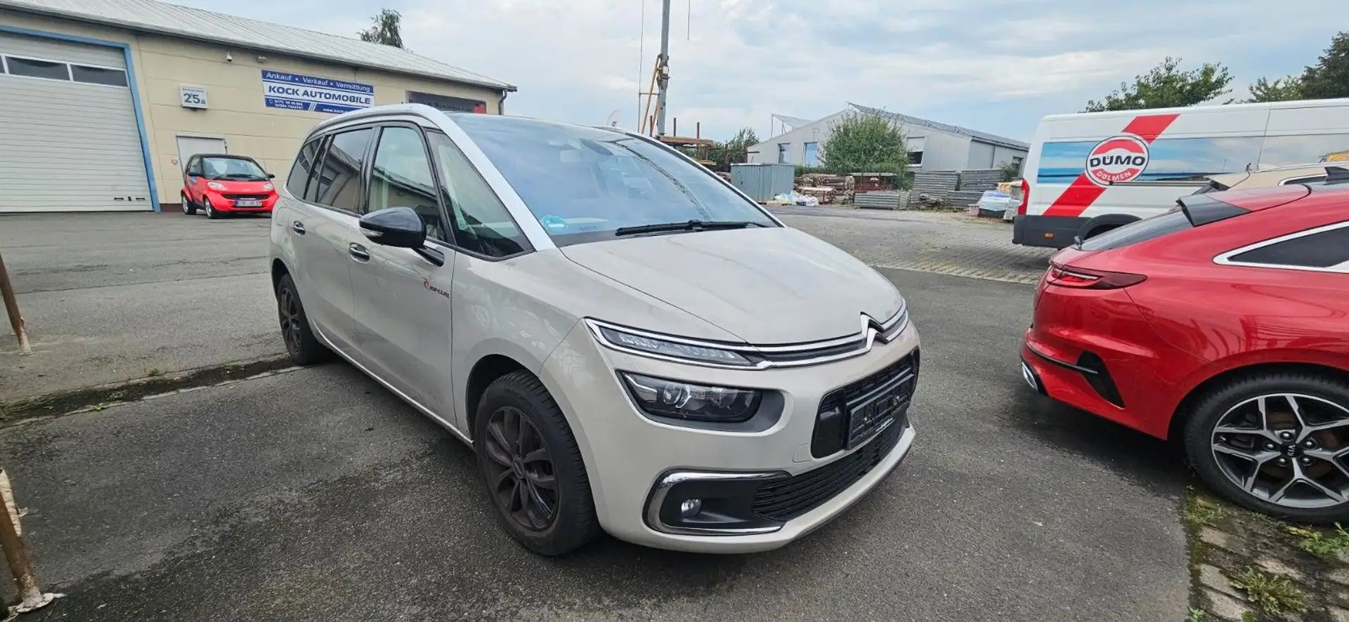 Citroen Grand C4 Picasso /Spacetourer Rip Curl - 1