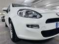 Fiat Punto Punto III 2014 5p 1.2 Street E6 Bianco - thumbnail 5