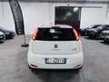 Fiat Punto Punto III 2014 5p 1.2 Street E6 Bianco - thumbnail 9