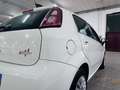 Fiat Punto Punto III 2014 5p 1.2 Street E6 Bianco - thumbnail 11