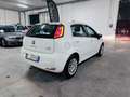 Fiat Punto Punto III 2014 5p 1.2 Street E6 Bianco - thumbnail 8