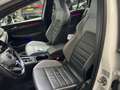Volkswagen Golf GTE 1.4 eHybrid IQ, Pano, Leder, ACC Wit - thumbnail 10