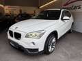 BMW X1 xDrive20d Aut./SPORTLINE/KAMERA/PANO/XENON/MEMORY/ Weiß - thumbnail 22