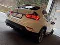 BMW X1 xDrive20d Aut./SPORTLINE/KAMERA/PANO/XENON/MEMORY/ Weiß - thumbnail 34