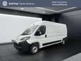 Toyota Proace Max 2.2-l-D 35 L3H2 Heavy Meister Blanc - thumbnail 1