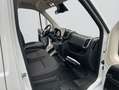 Toyota Proace Max 2.2-l-D 35 L3H2 Heavy Meister Blanc - thumbnail 17
