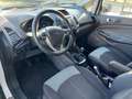 Ford EcoSport 1.0 Ecoboost 125 CV Titanium Weiß - thumbnail 7