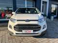 Ford EcoSport 1.0 Ecoboost 125 CV Titanium Weiß - thumbnail 3