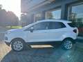 Ford EcoSport 1.0 Ecoboost 125 CV Titanium Weiß - thumbnail 5