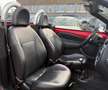 Ford Streetka 1.6 Edition Klima*Leder*LM 16 Zoll* - thumbnail 7