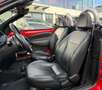 Ford Streetka 1.6 Edition Klima*Leder*LM 16 Zoll* - thumbnail 5
