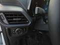Ford Transit Courier 1,5 EcoBlue Trend Weiß - thumbnail 17